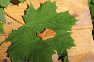 snipcart-thumb-image